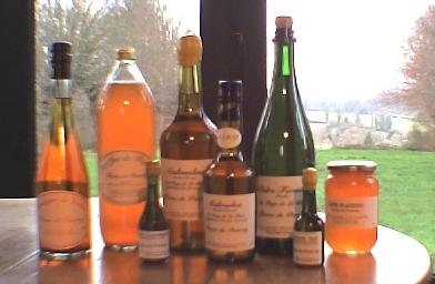 bottles